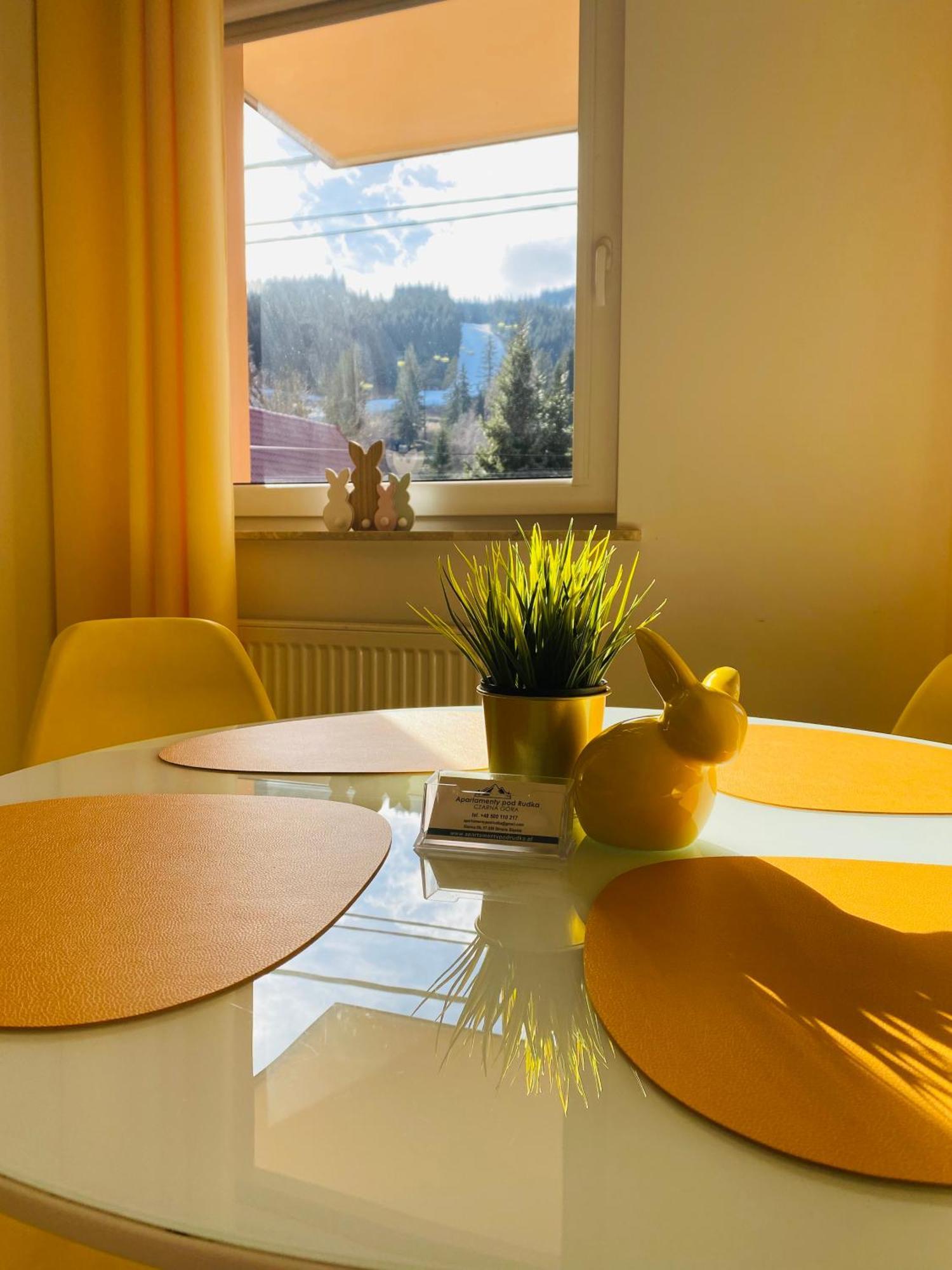 Apartamenty Pod Rudka Czarna Gora Agroturystyka Sienna  Exteriör bild